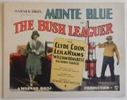 The Bush Leaguer