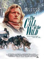 The Call of the Wild: Dog of the Yukon