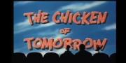 The Chicken of Tomorrow