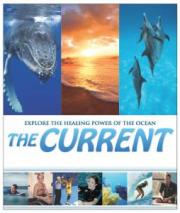 The Current: Explore the Healing Powers of the Ocean