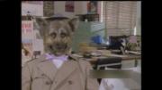 The Dog Police