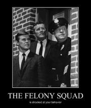The Felony Squad