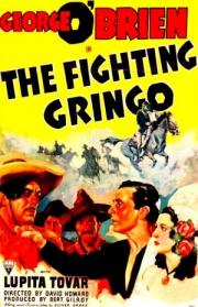 The Fighting Gringo