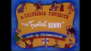 The Foolish Bunny