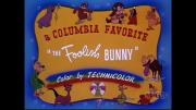 The Foolish Bunny