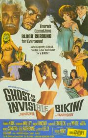 The Ghost in the Invisible Bikini