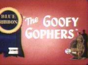 The Goofy Gophers