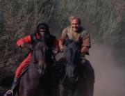 The Horse Race