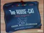 The House-Cat (Felis Vulgaris)