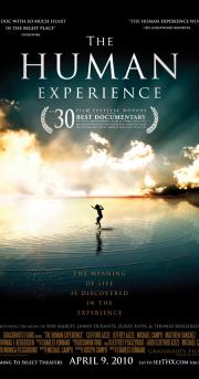 The Human Experience