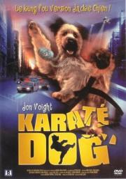 The Karate Dog