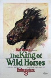 The King of the Wild Horses