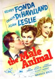 The Male Animal