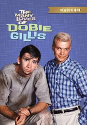 The Many Loves of Dobie Gillis