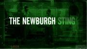 The Newburgh Sting