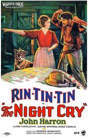The Night Cry