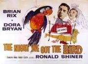 The Night We Got the Bird