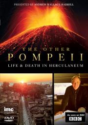 The Other Pompeii: Life and Death in Herculaneum