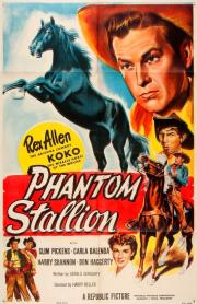 The Phantom Stallion