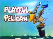 The Playful Pelican