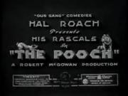 The Pooch