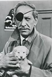 The Prisoner