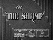 The Shrimp