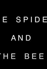 The Spider and the Bee