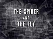 The Spider and the Fly