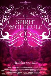 The Spirit Molecule