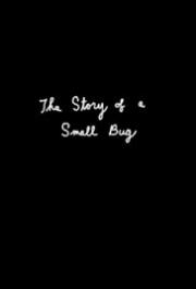 The Story of a Small Bug