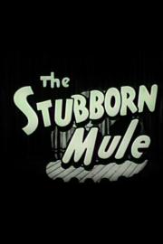 The Stubborn Mule