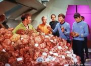The Trouble with Tribbles