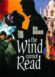 The Wind Cannot Read