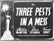 Three Pests in a Mess