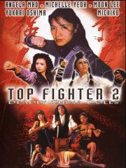 Top Fighter 2