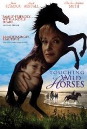 Touching Wild Horses