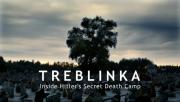 Treblinka Inside Hitler\