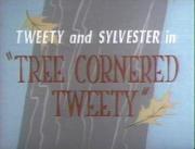 Tree Cornered Tweety