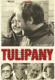 Tulipany