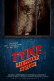 Tyke Elephant Outlaw