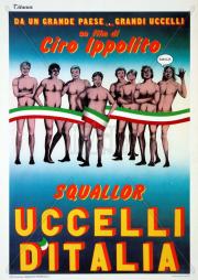 Uccelli d\
