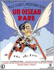 Un oiseau rare