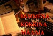 Vammena Kokkina Mallia