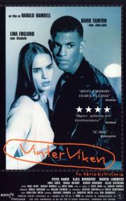 Vinterviken