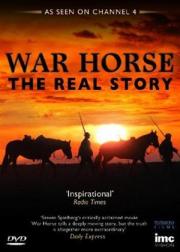 War Horse: The Real Story