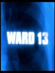 Ward 13