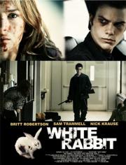 White Rabbit