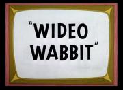 Wideo Wabbit