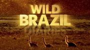 Wild Brazil